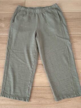 Pure Jill J. Jill Cropped Wide Leg Organic Cotton Pants Petite Medium